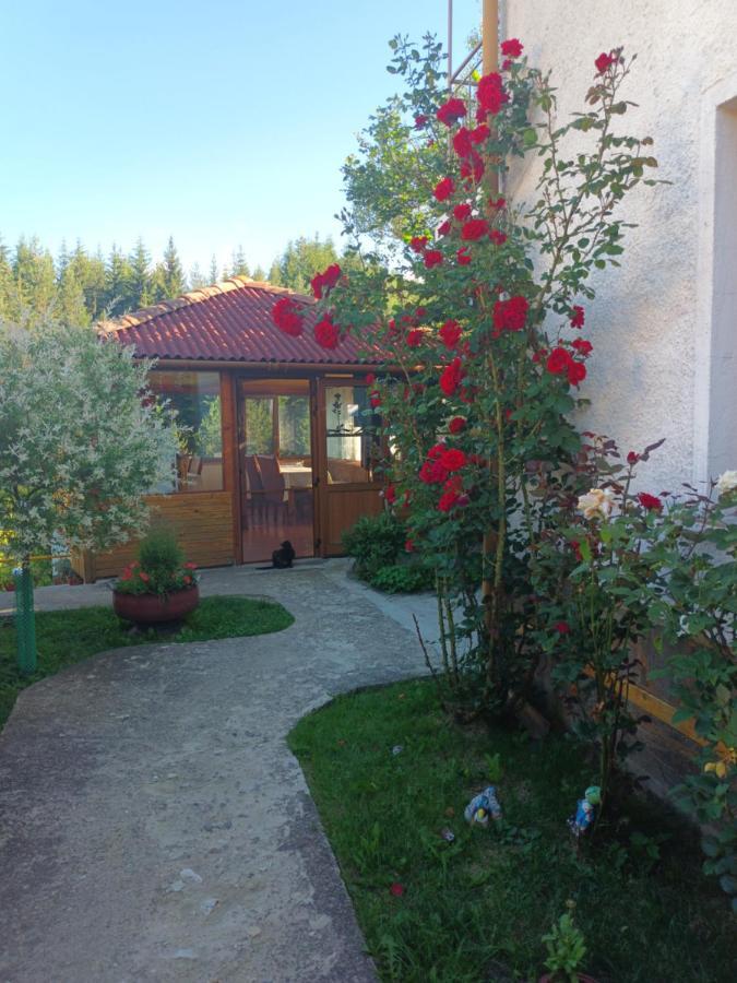 Guest House Stoletnika Jagodina Exteriör bild