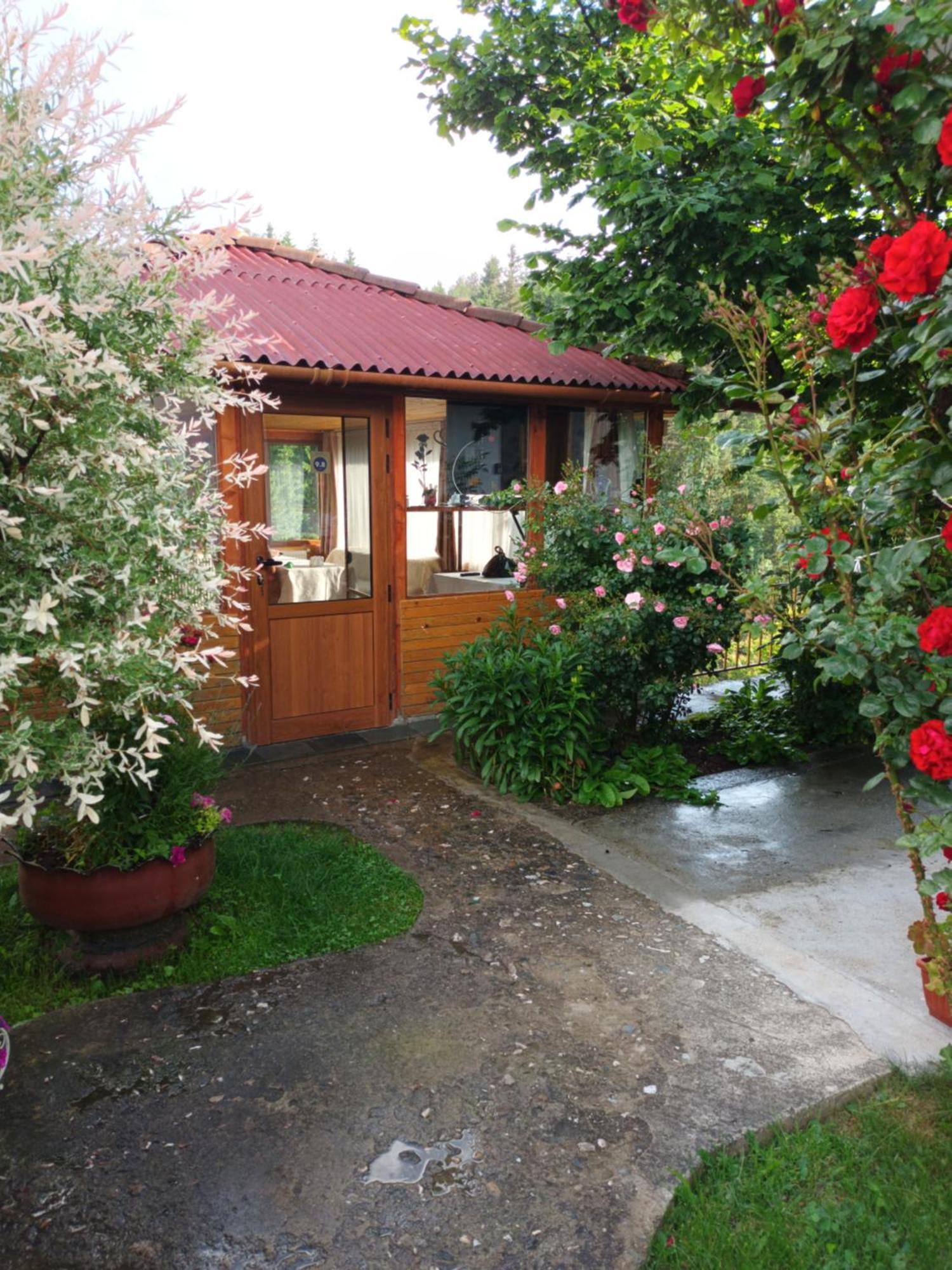 Guest House Stoletnika Jagodina Exteriör bild
