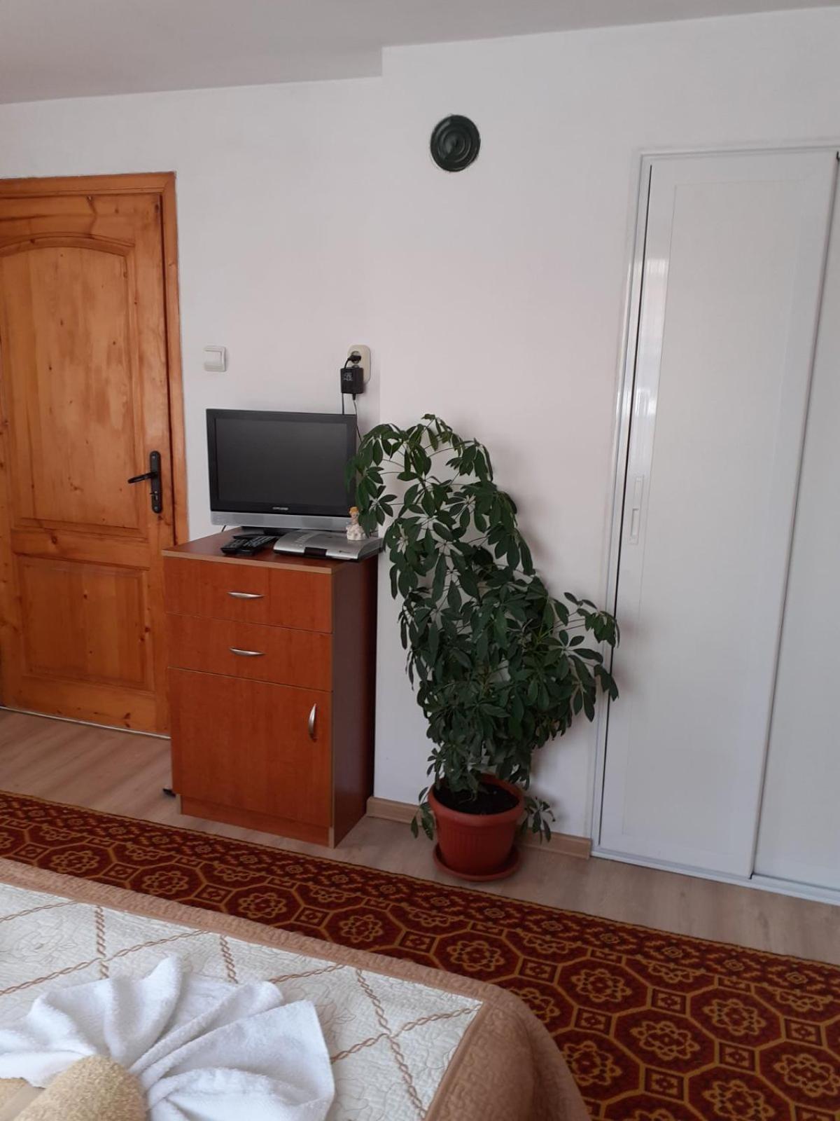 Guest House Stoletnika Jagodina Rum bild