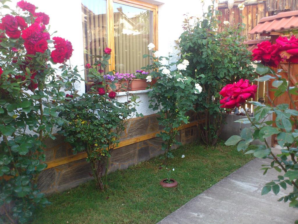 Guest House Stoletnika Jagodina Exteriör bild